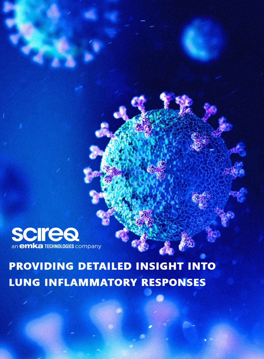 Lung inflammatory response document