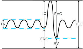 lung-volumes_captions